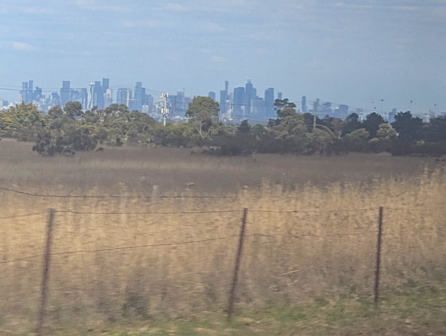 skyscrapers rising from fields