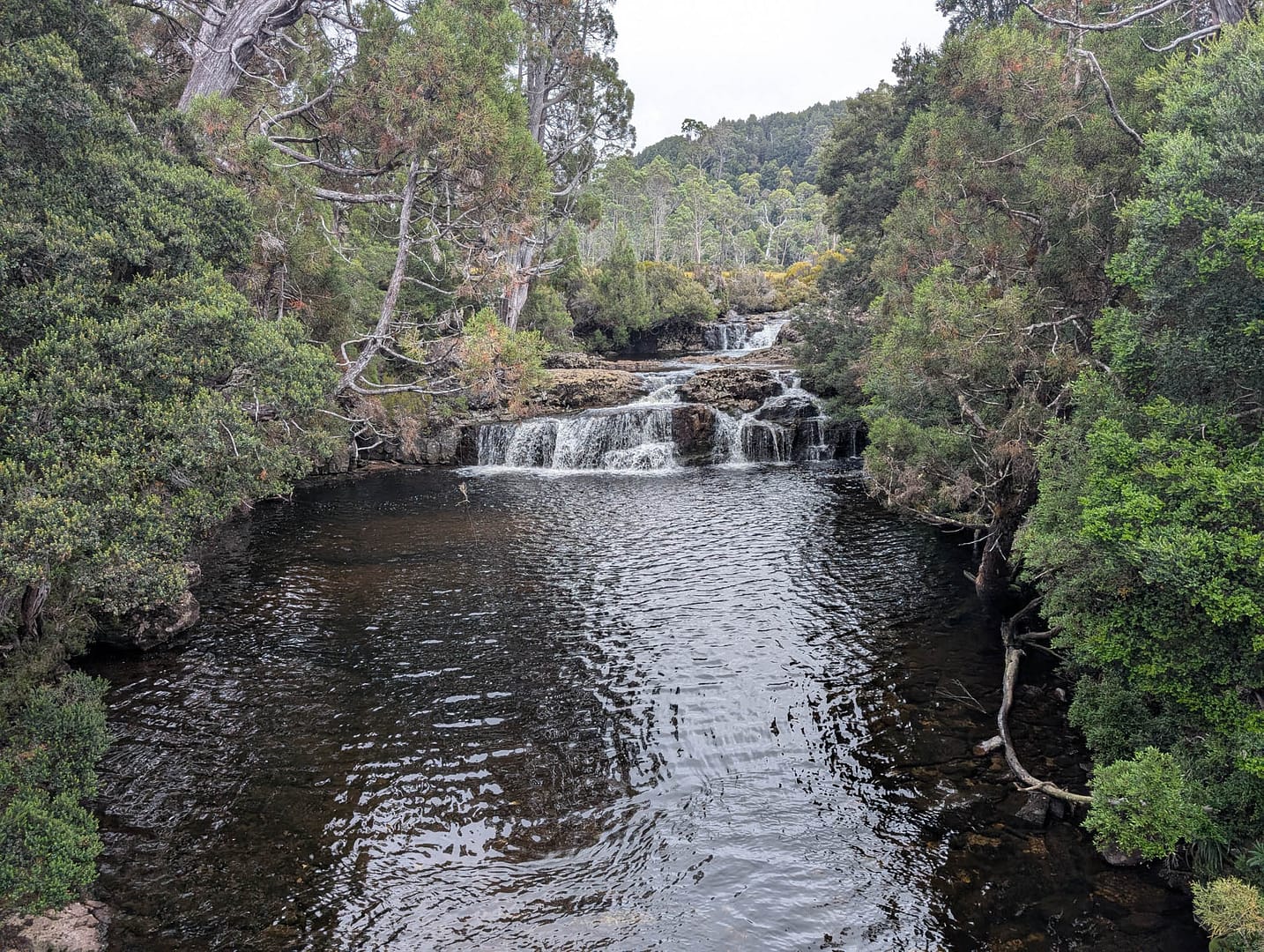 Pencil Pine Cascades