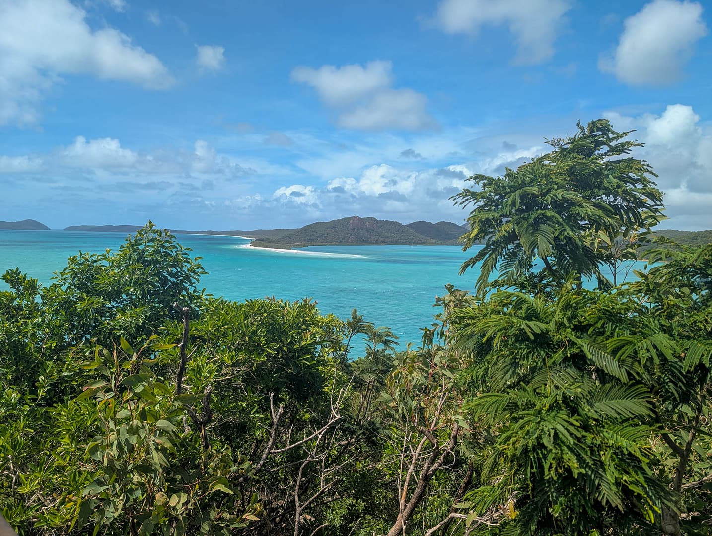 turquoise water and green land