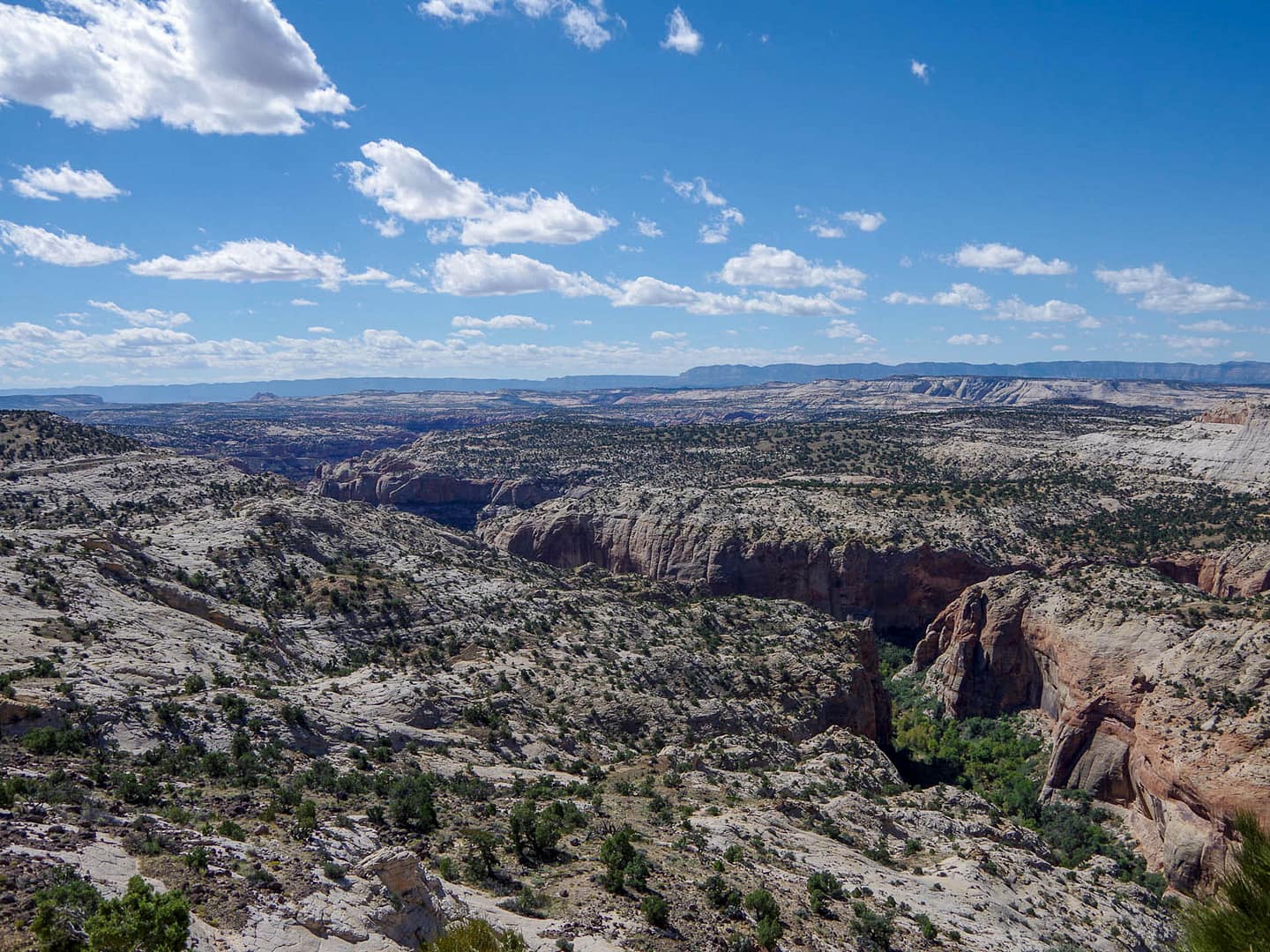 Box-Death Wilderness Area