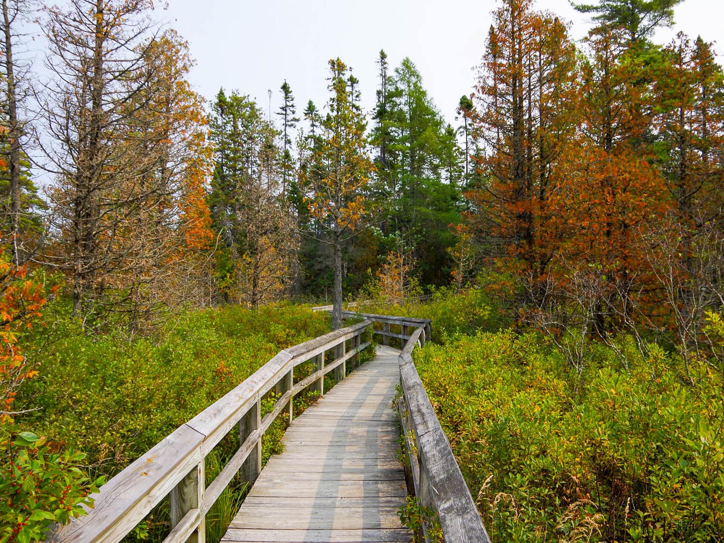 Sand Point boardwalk