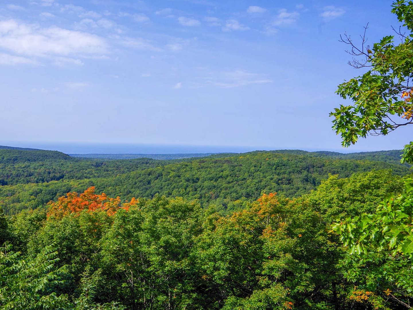 fall colors on hills