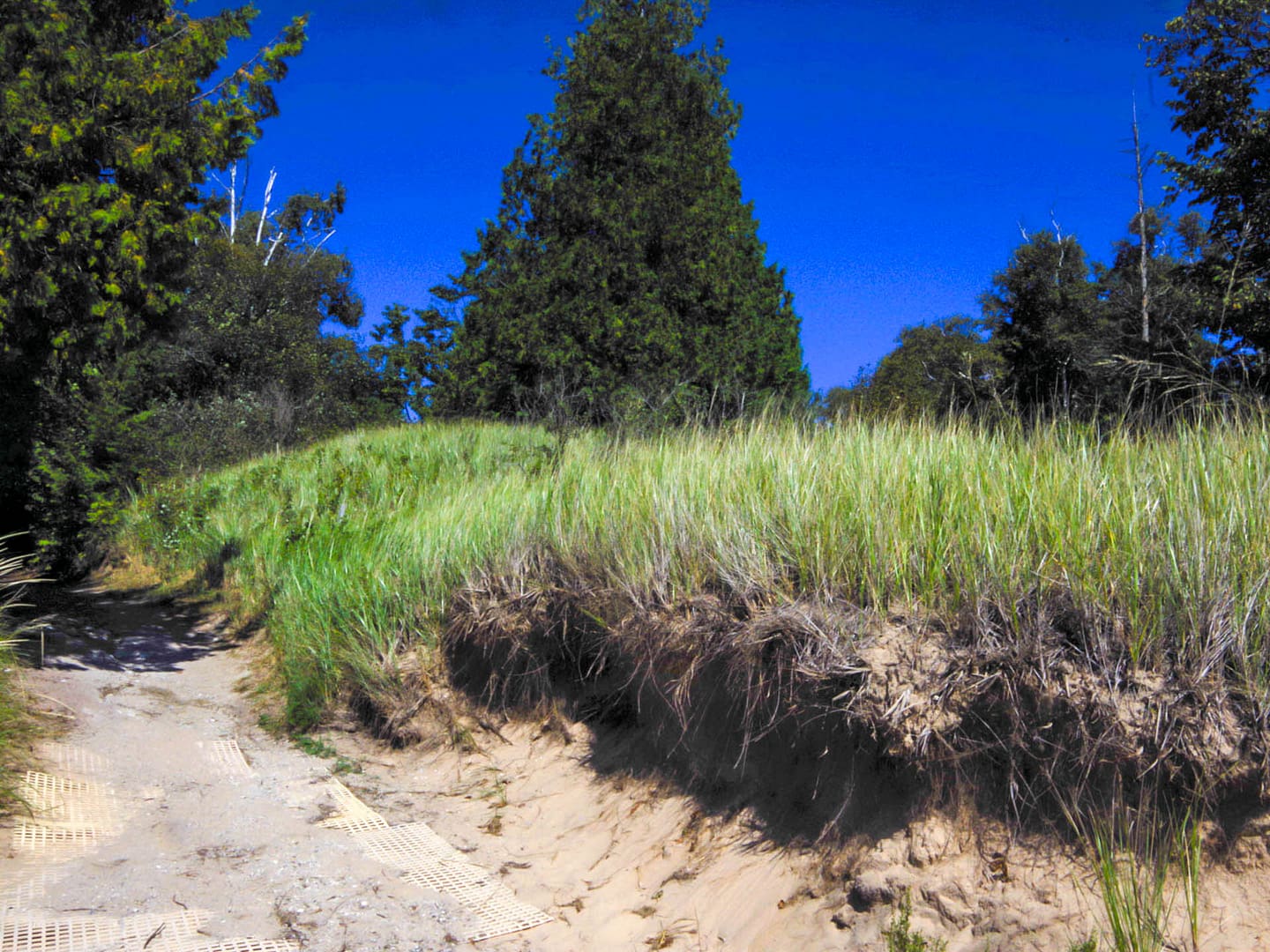 trail through dunes and grass