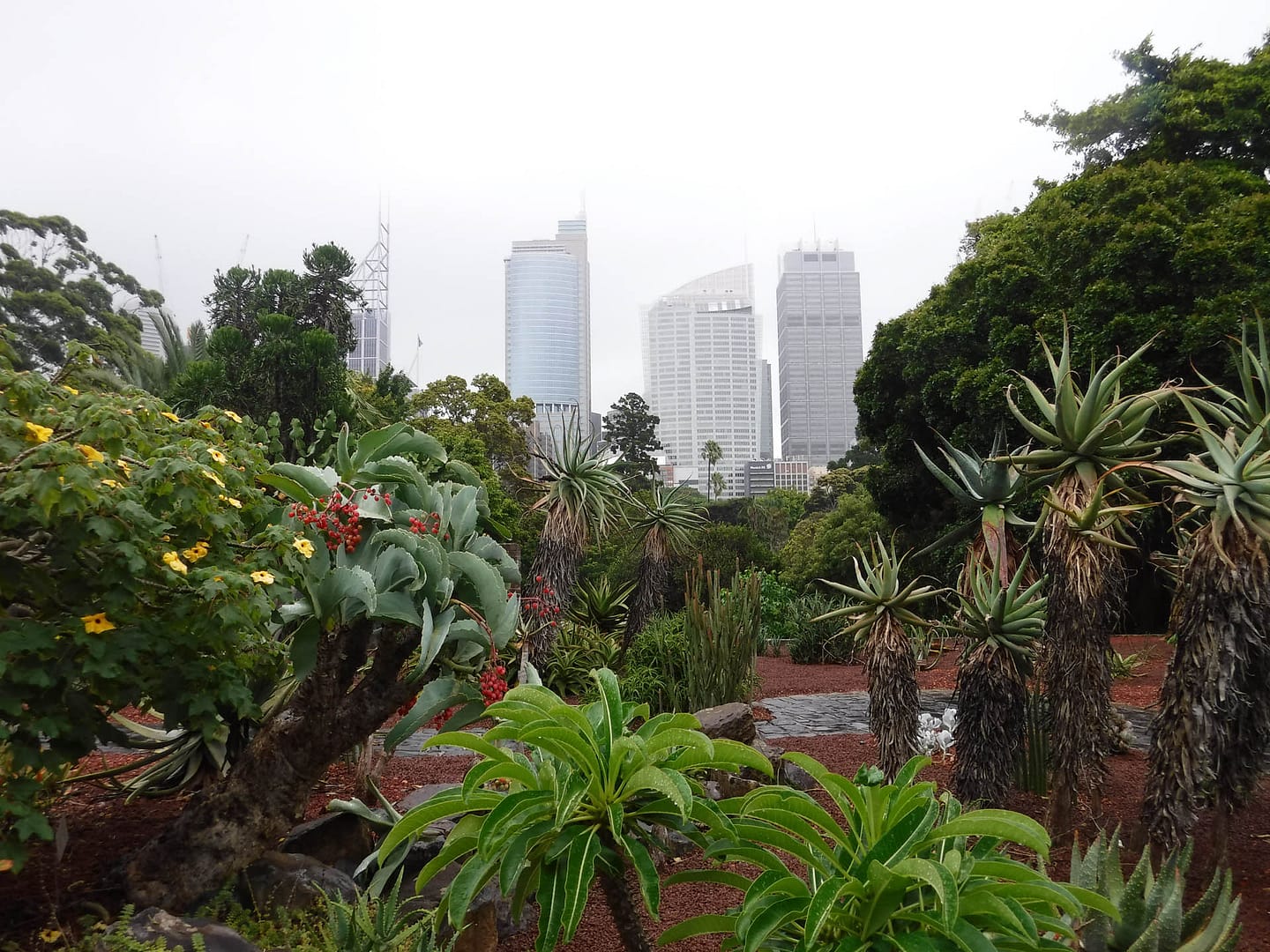 Clouds obscuring buildings