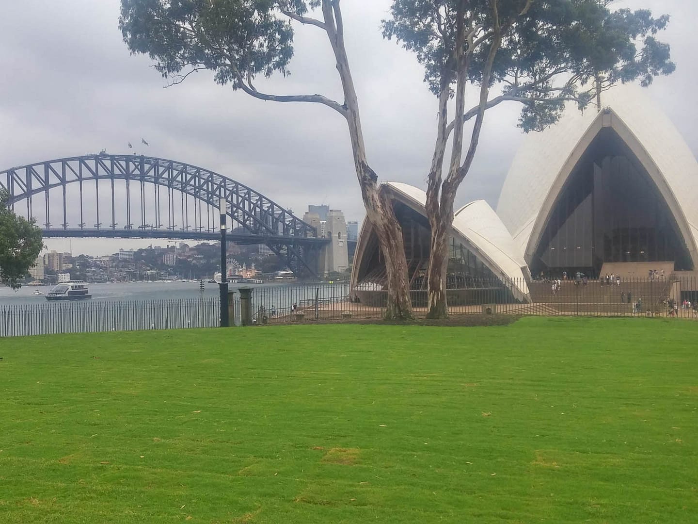 bridge and opera house