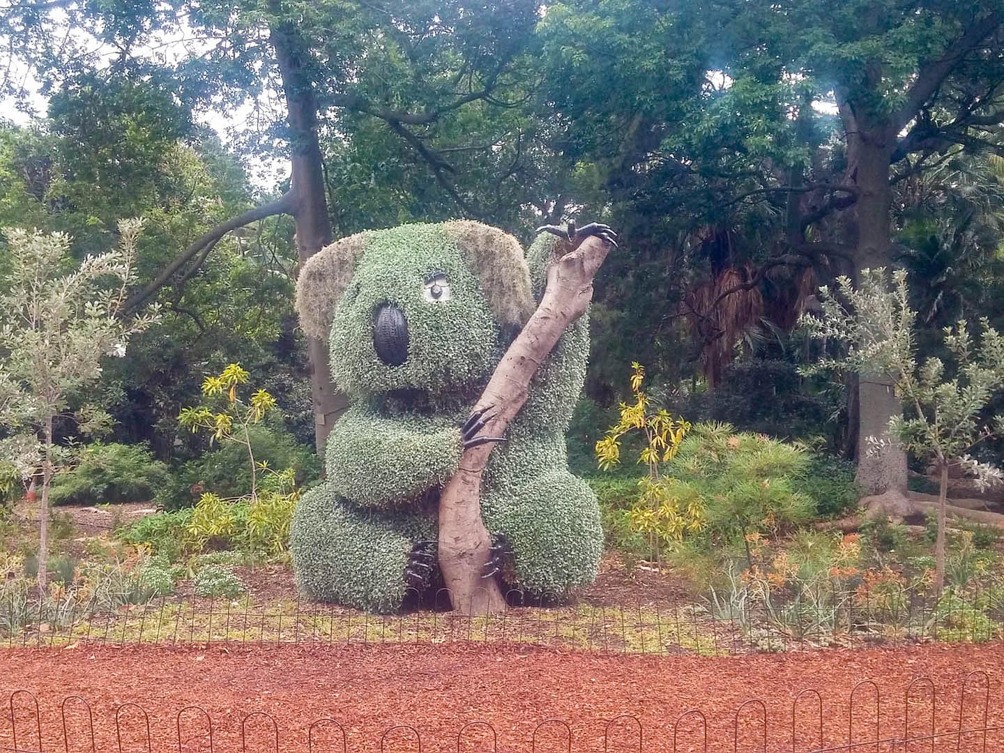 koala topiary