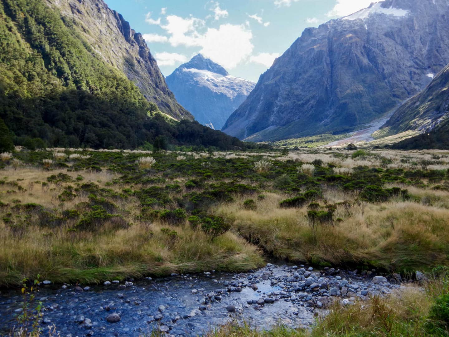 mountains and stream