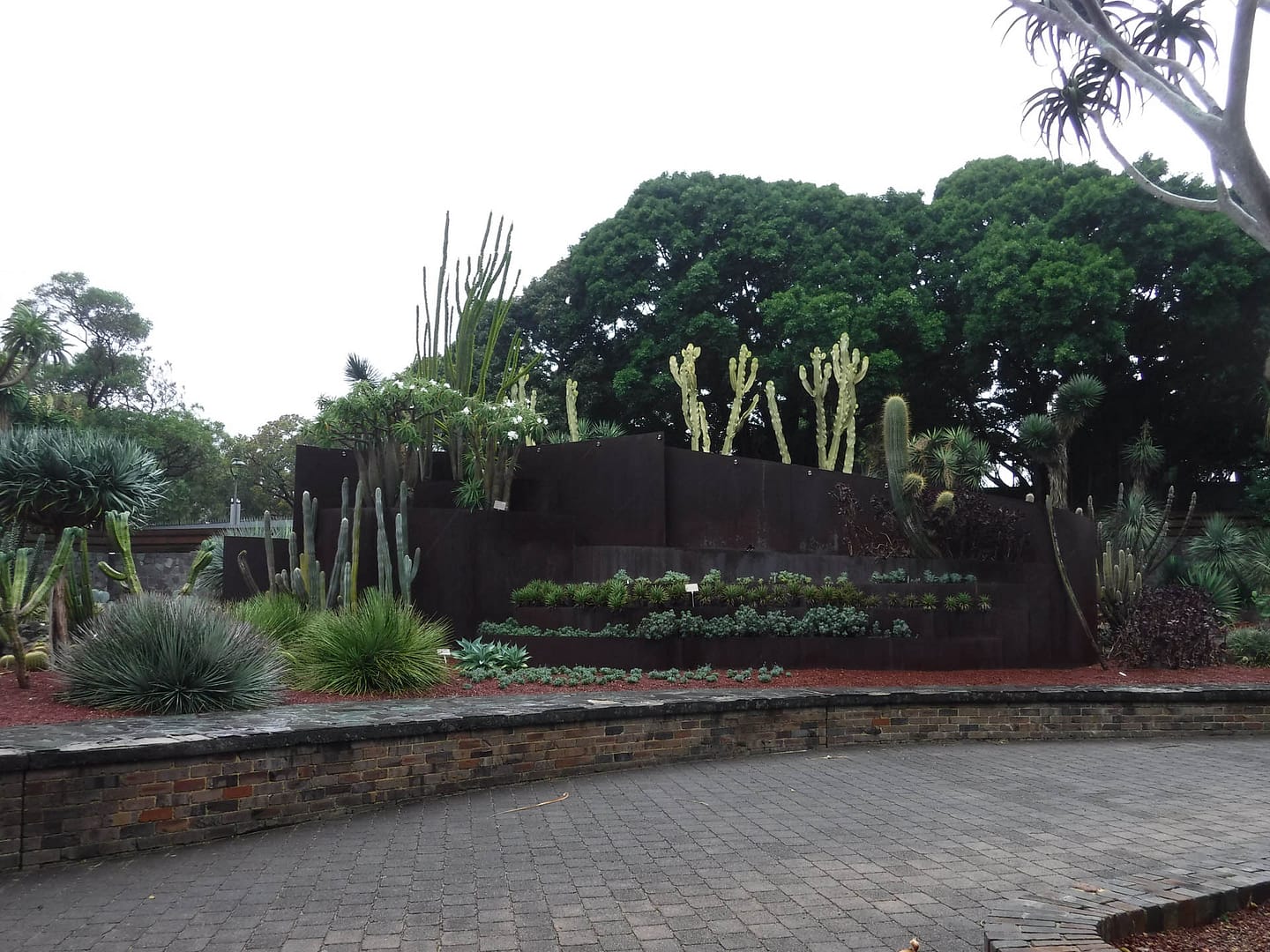 cactus garden