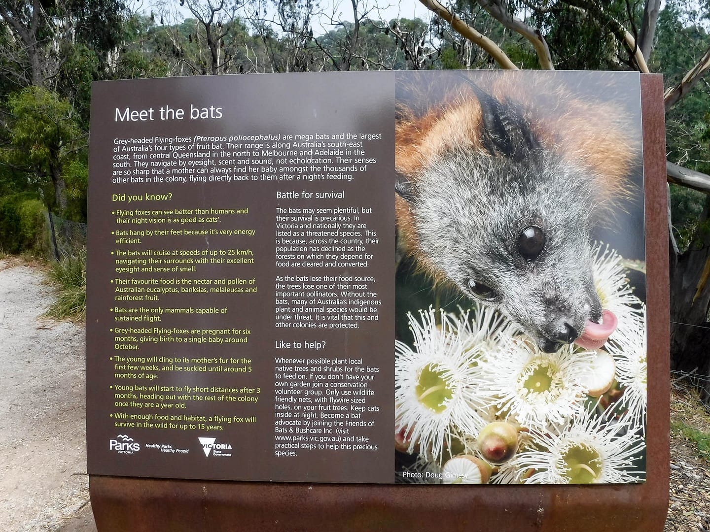 bat sign