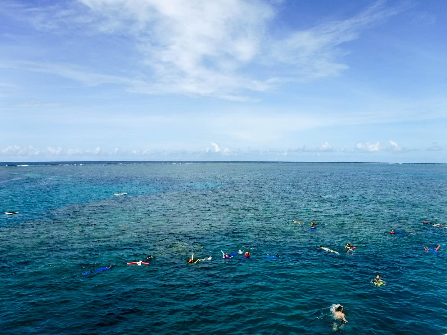 snorkelers