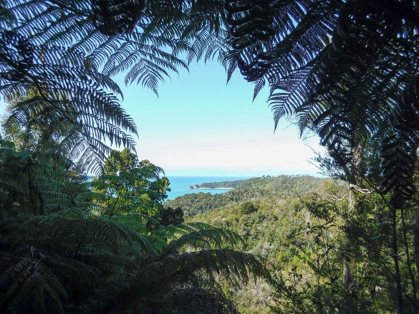 190328-01 view