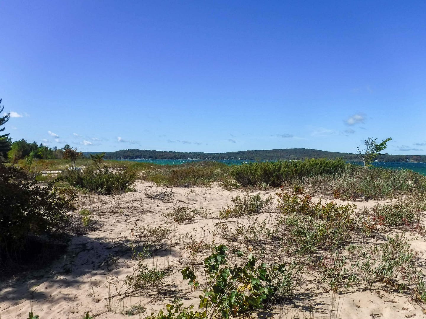 dunes at Lake Charlevoix