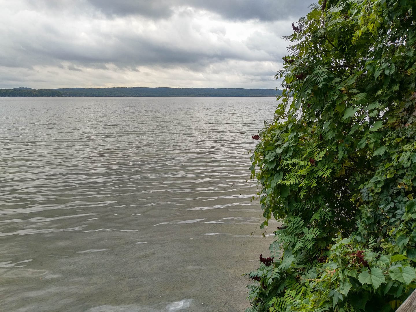 view of Duck Lake