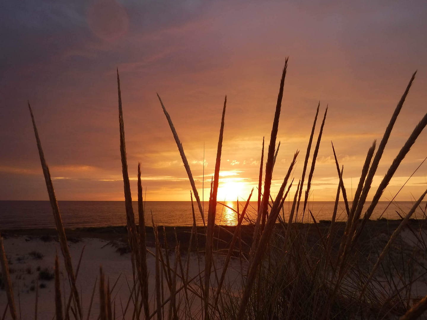 sunset with grass