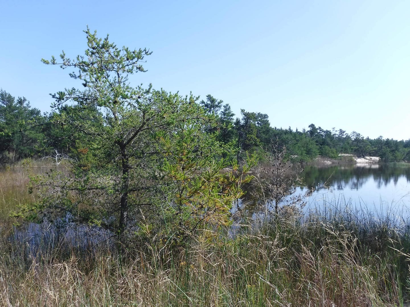 Lost Lake