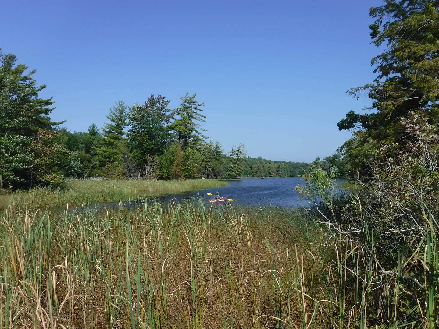 Lost Lake