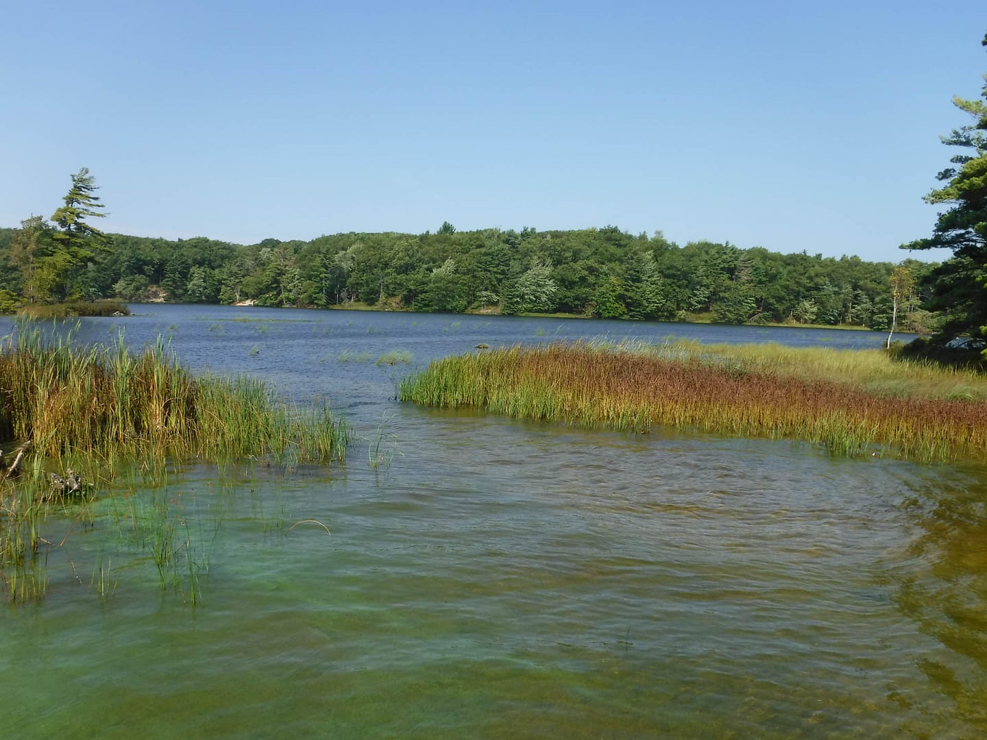 Lost Lake