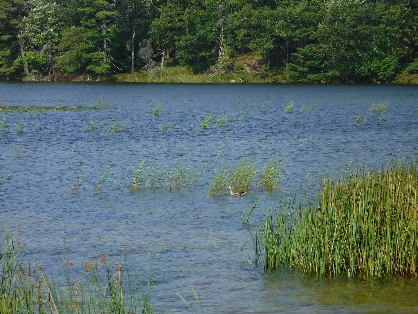 Lost Lake