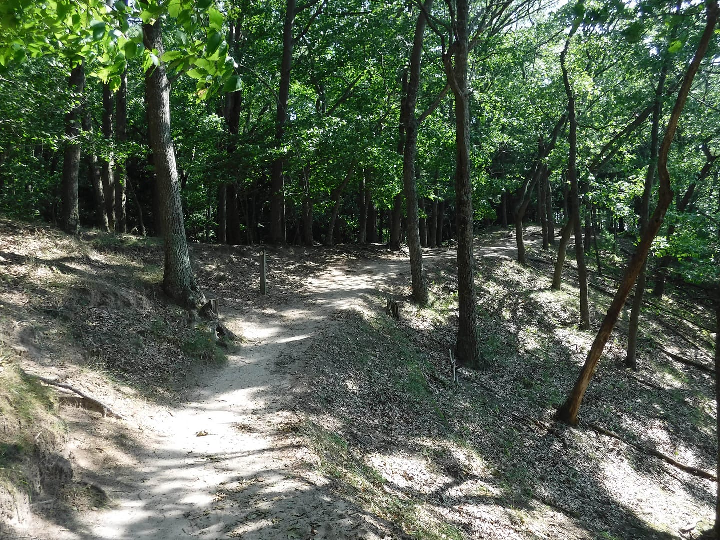 Lost Lake trail