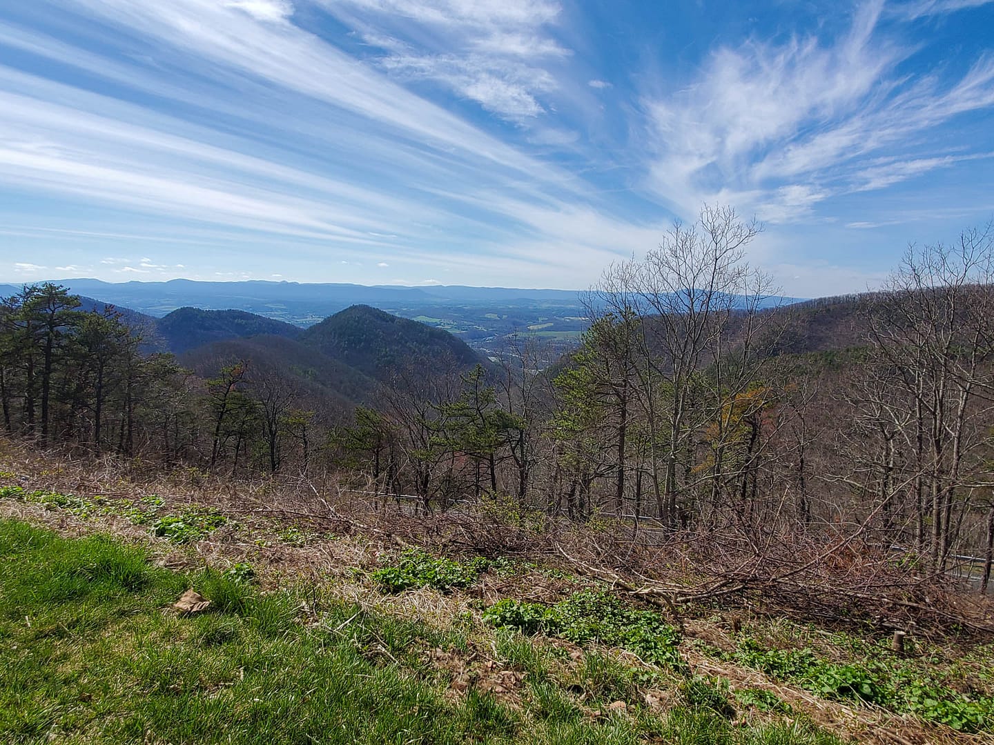 Parkway view