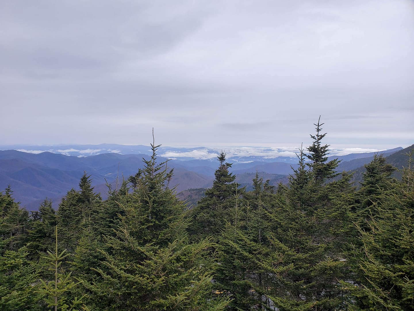 MaggieToBlowing-01 trees and mountains