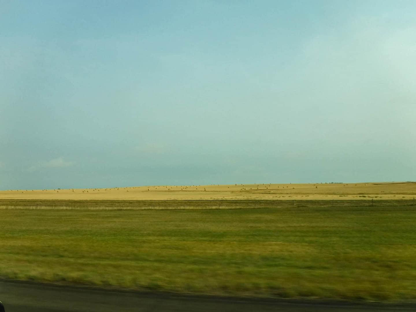 ToGlacier-01 amber waves of grain