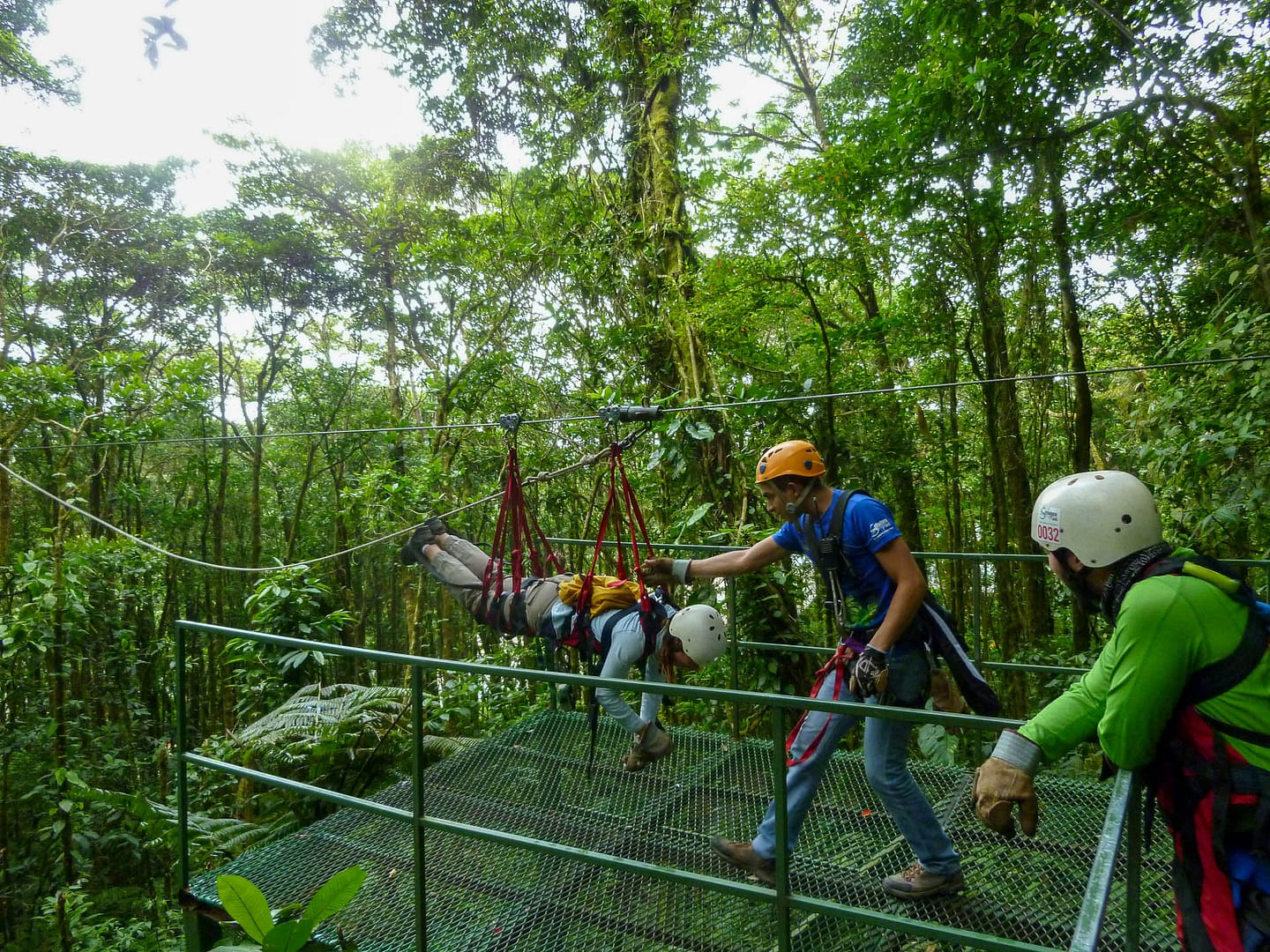 Selvatura-01 zipliner