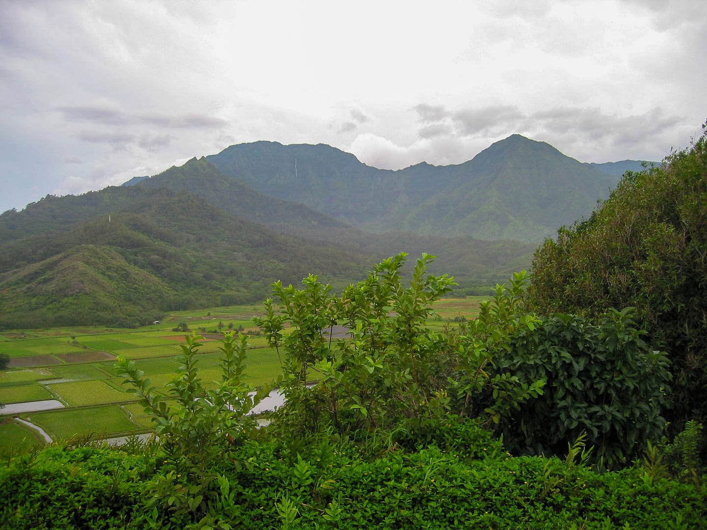 KauaiNorth-01 lush valley and mountains