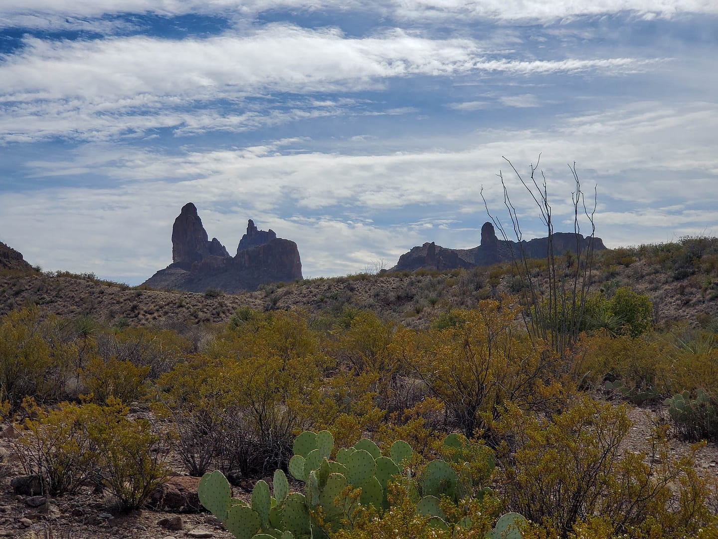 the Mule Ears