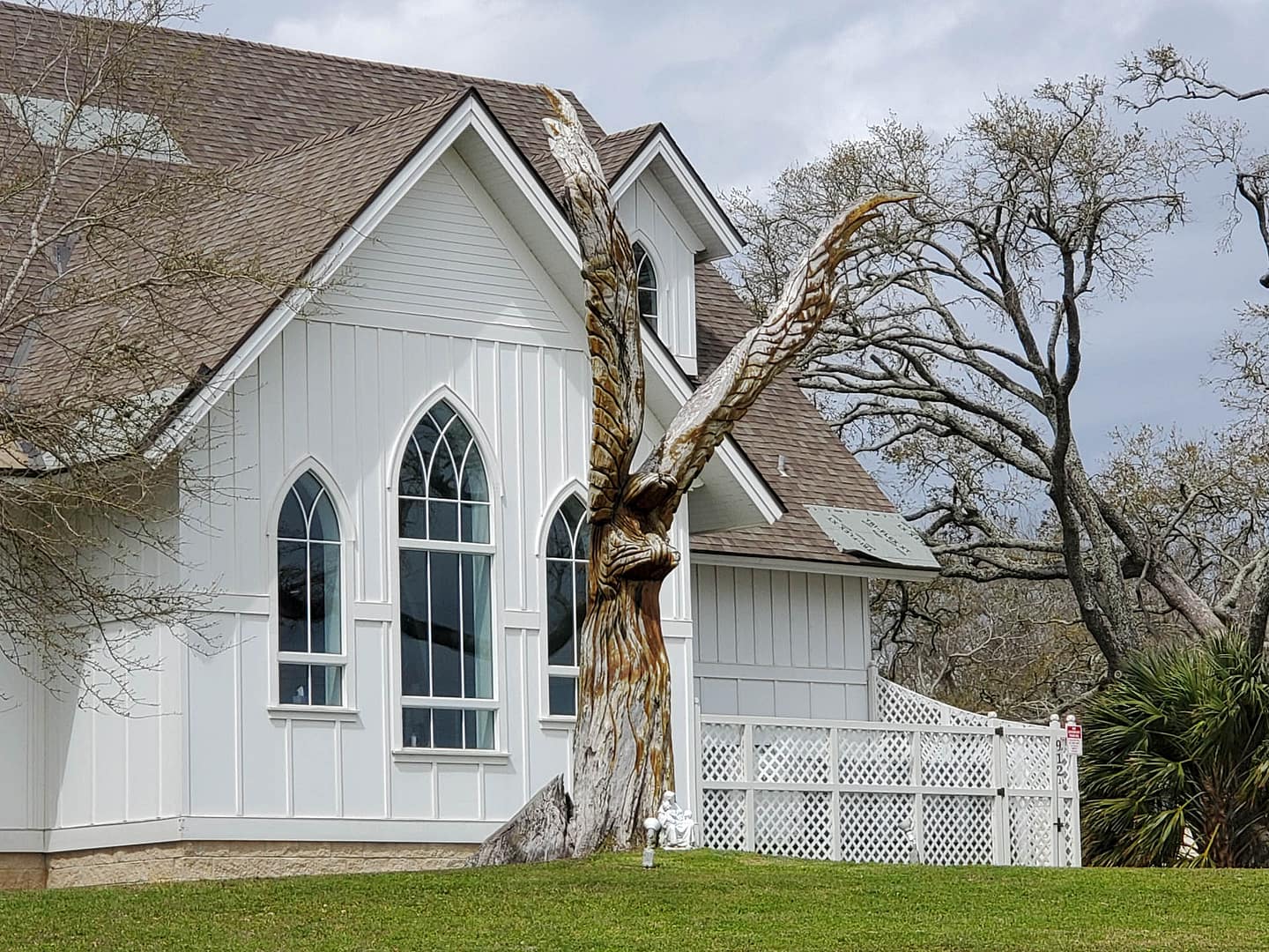 angle tree in front of building