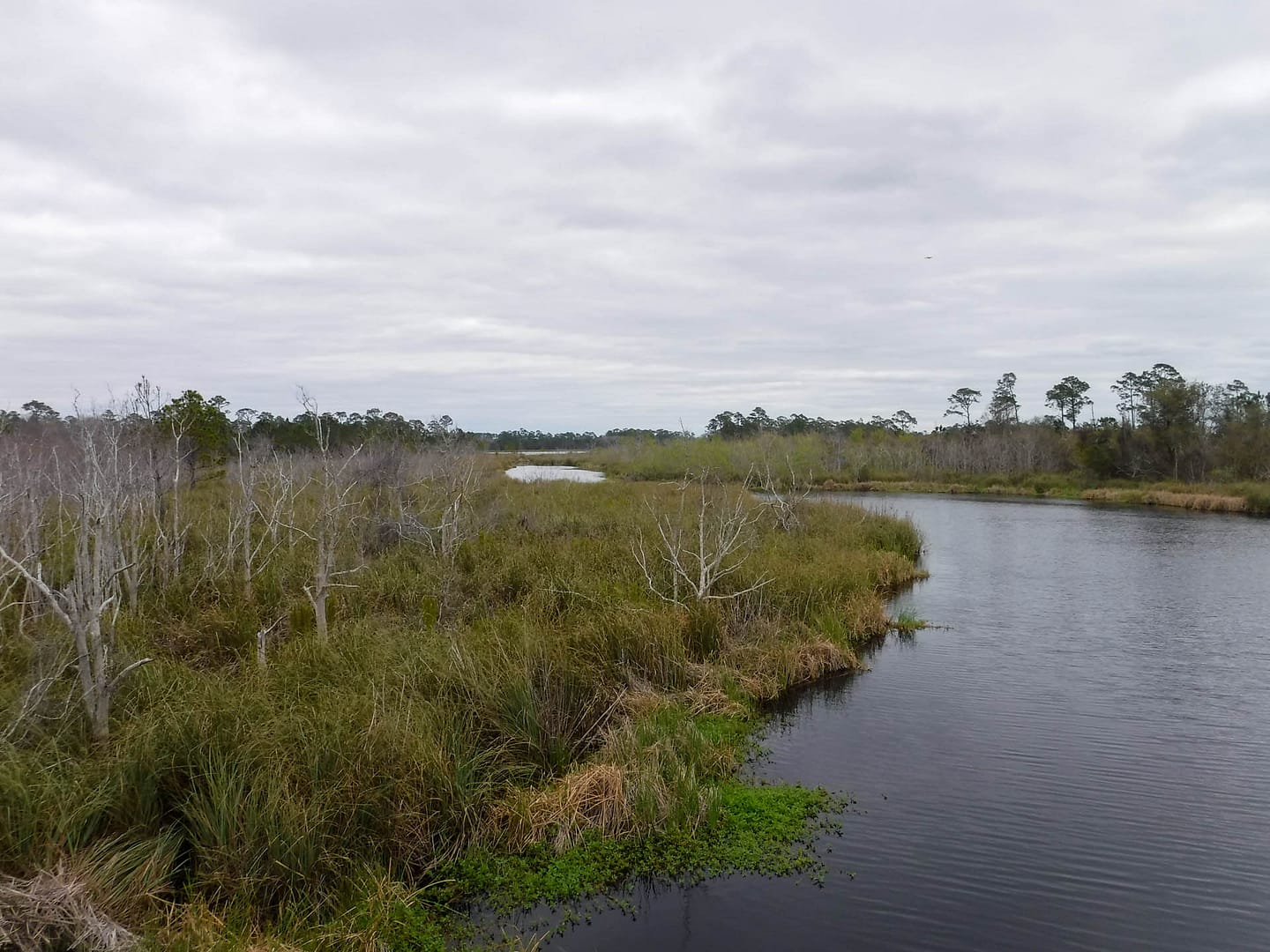Gulf State Park