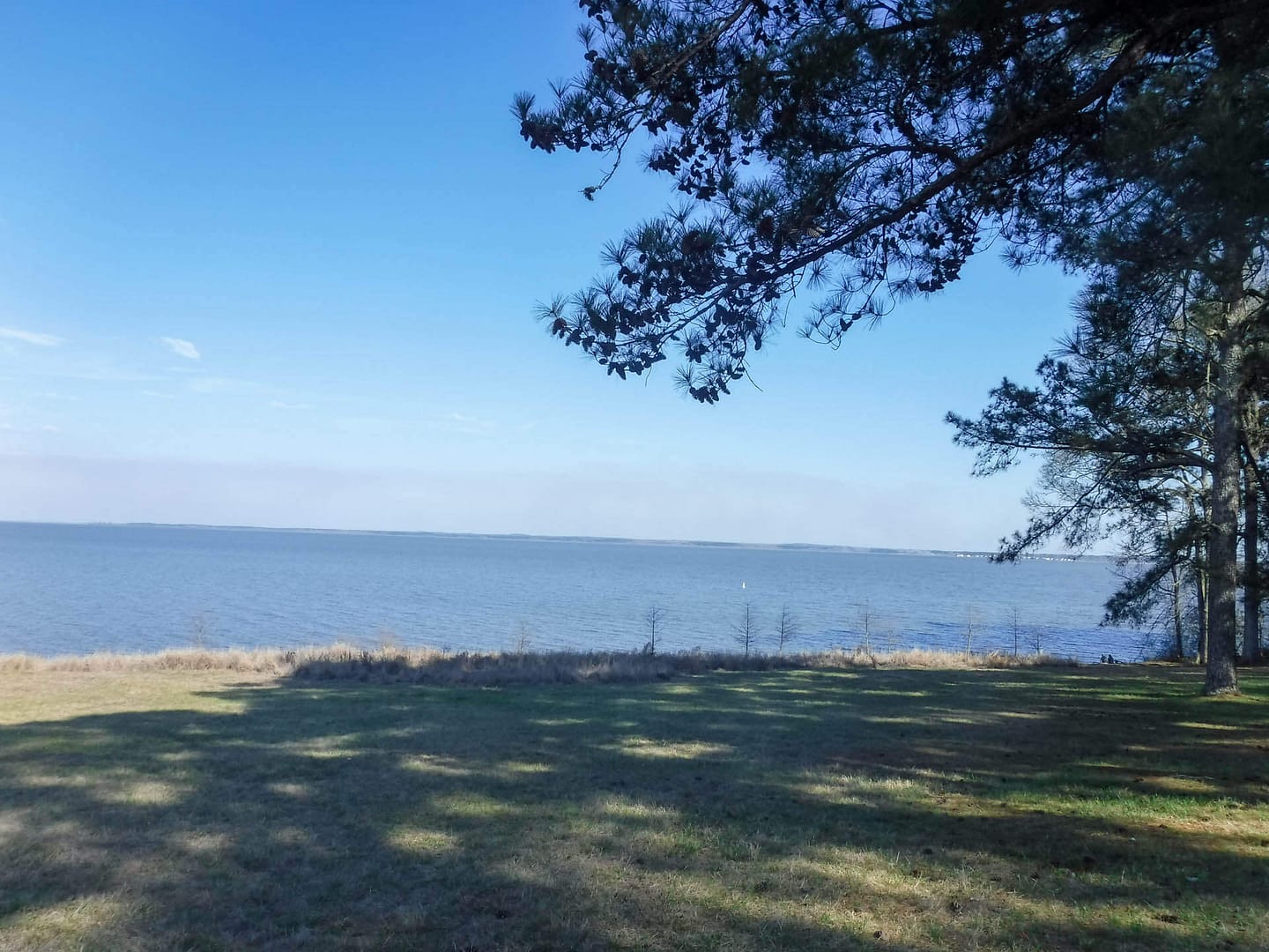 reservoir near Jackson