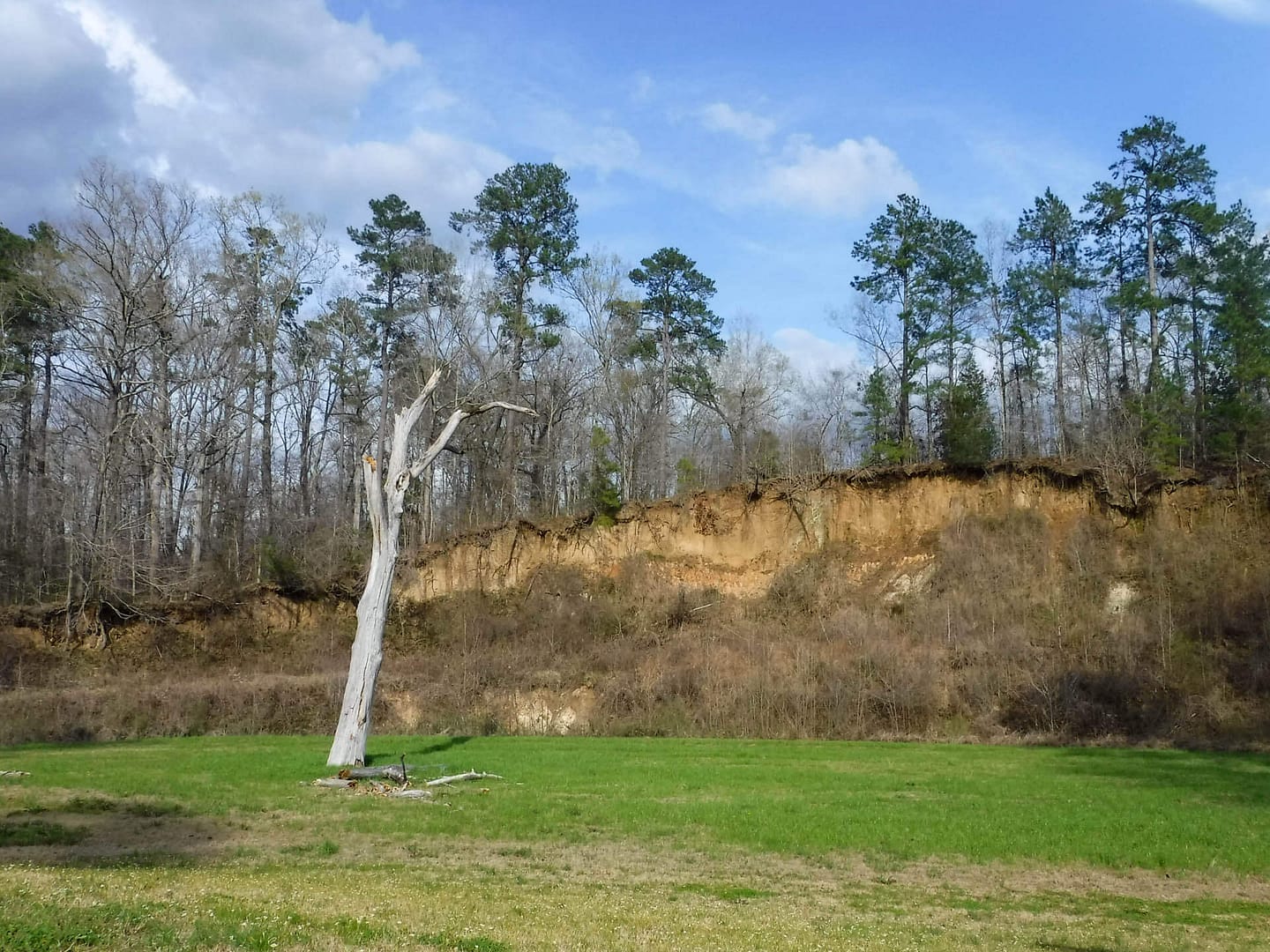 loess bluff