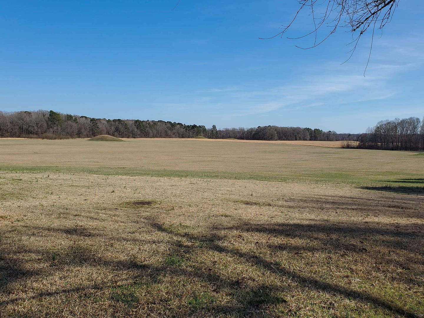 Pharr Mounds