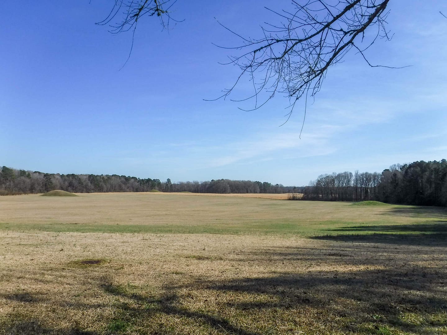Pharr Mounds