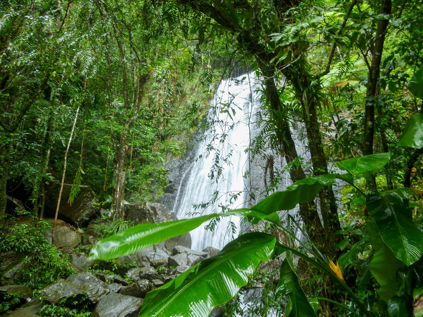 tropical waterfall
