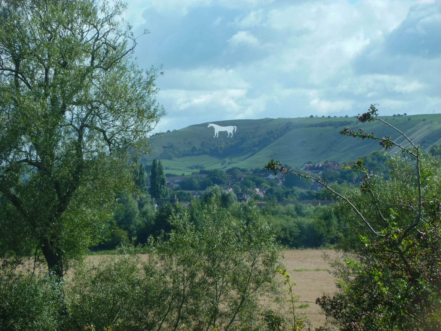 Westbury white horse