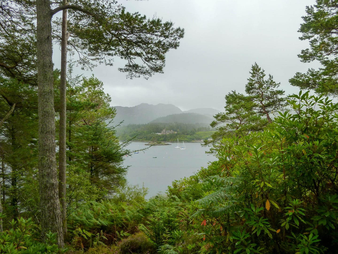 View from walk