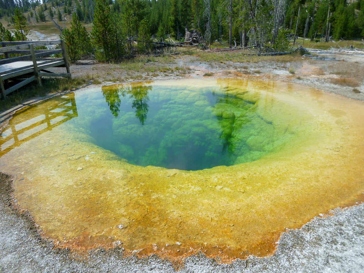 Morning Glory pool