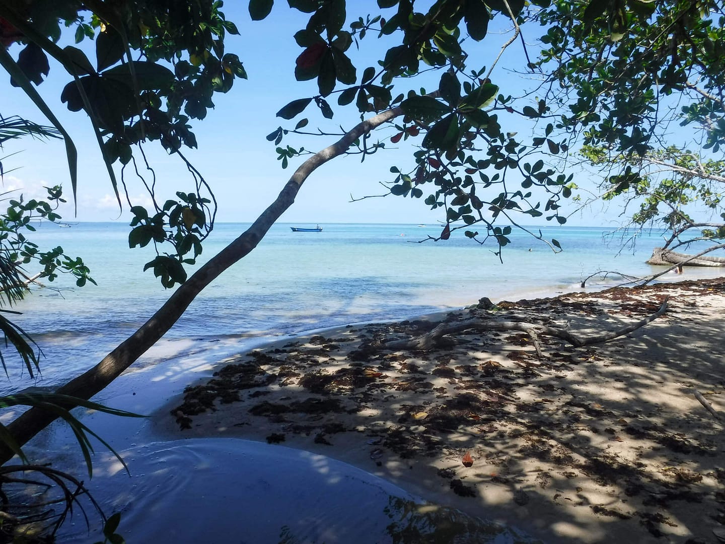CahuitaNP-01 creek running into the Caribbean