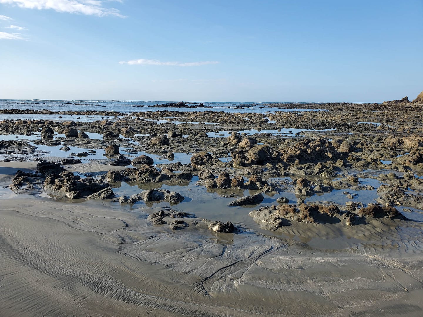 rocks at the beach