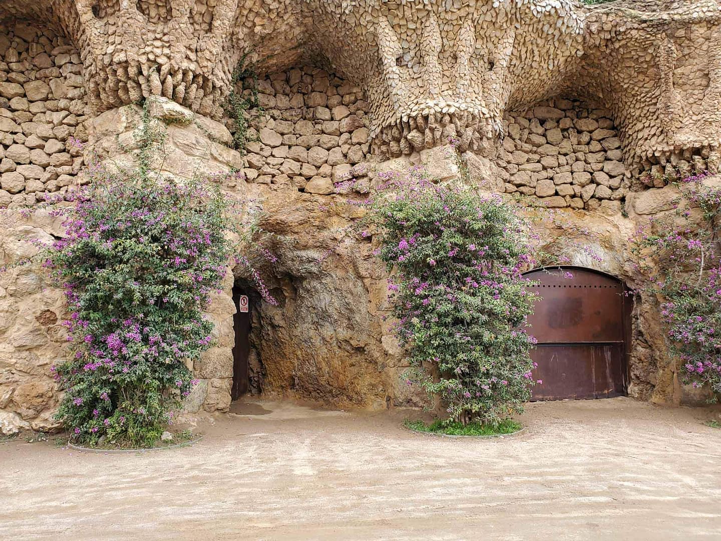 plants growing against columns