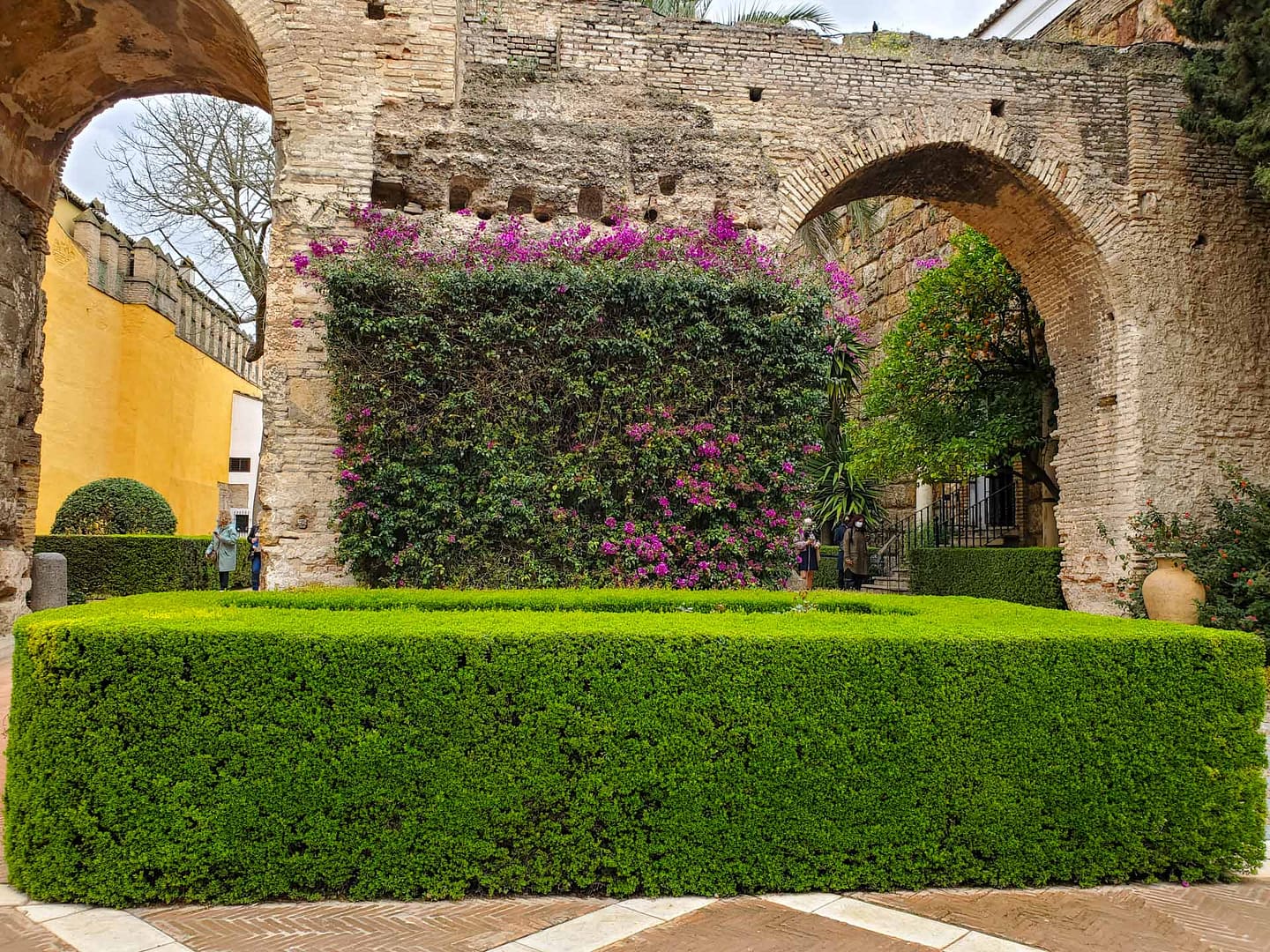 Entrance with hedge
