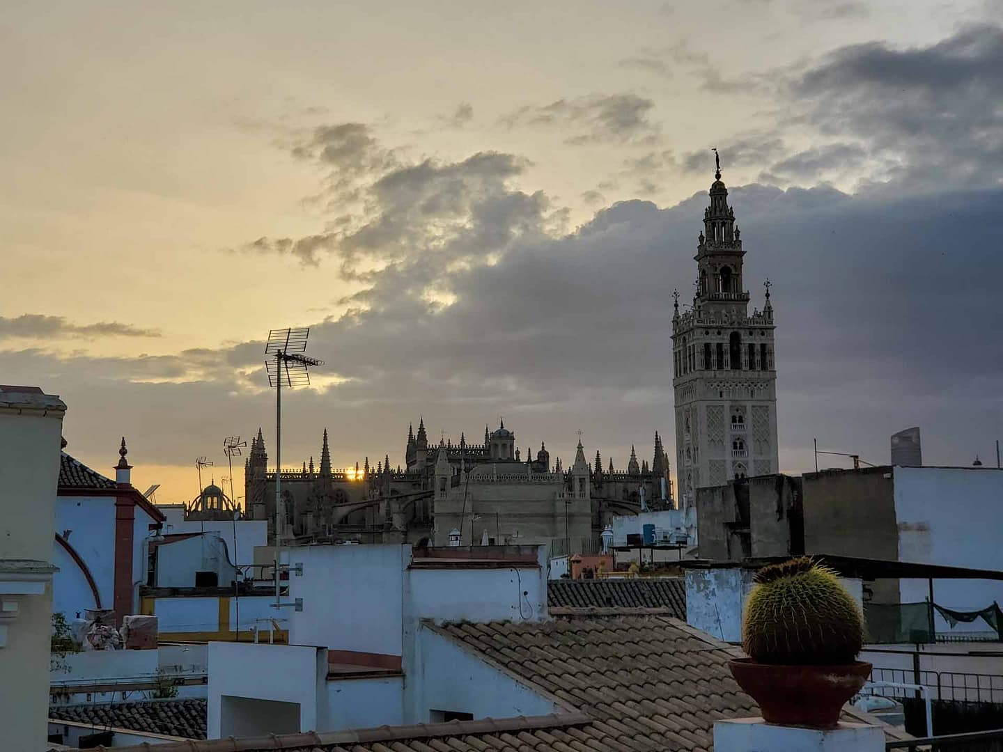 Seville cathedral