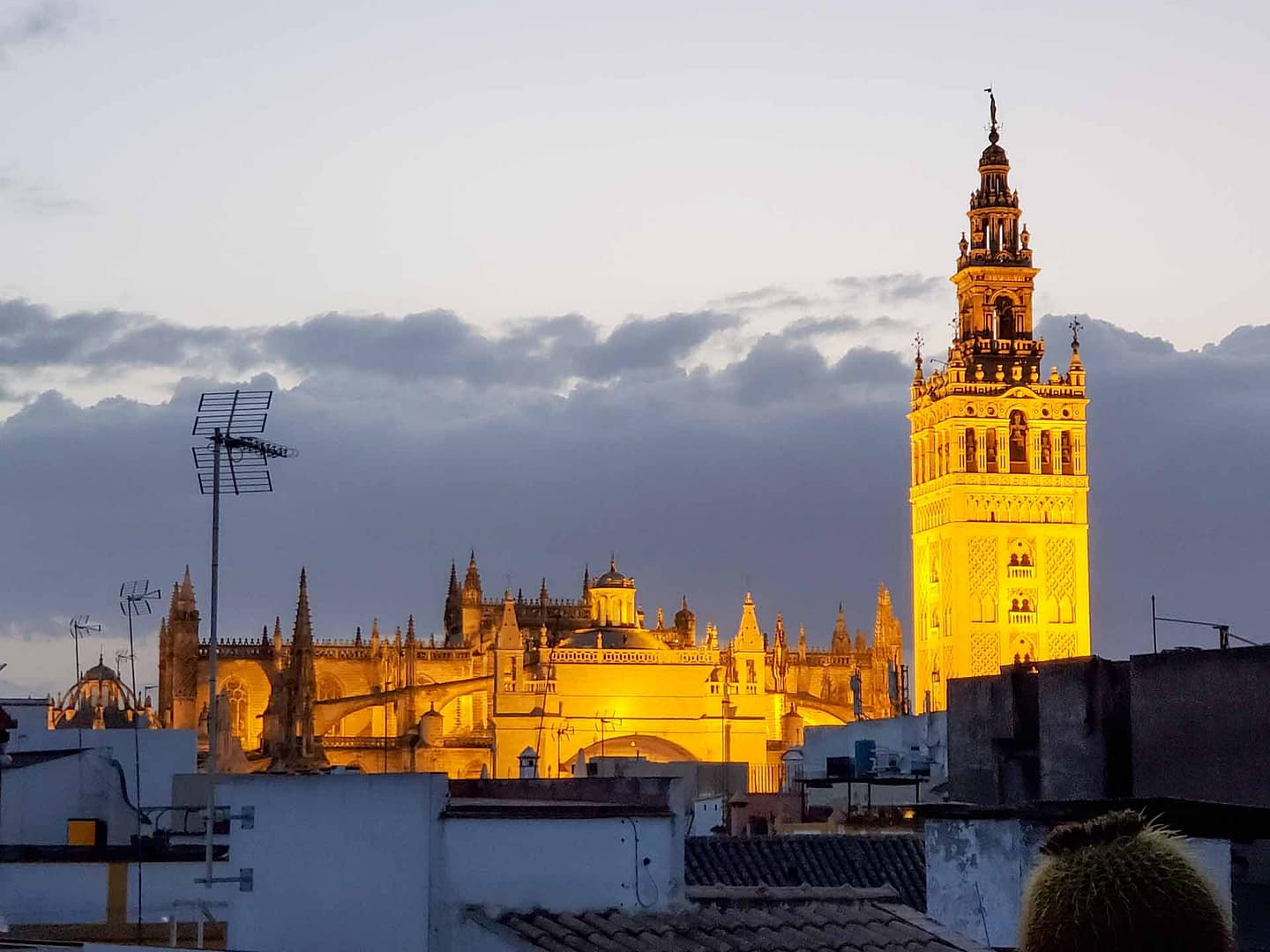 Seville cathedral