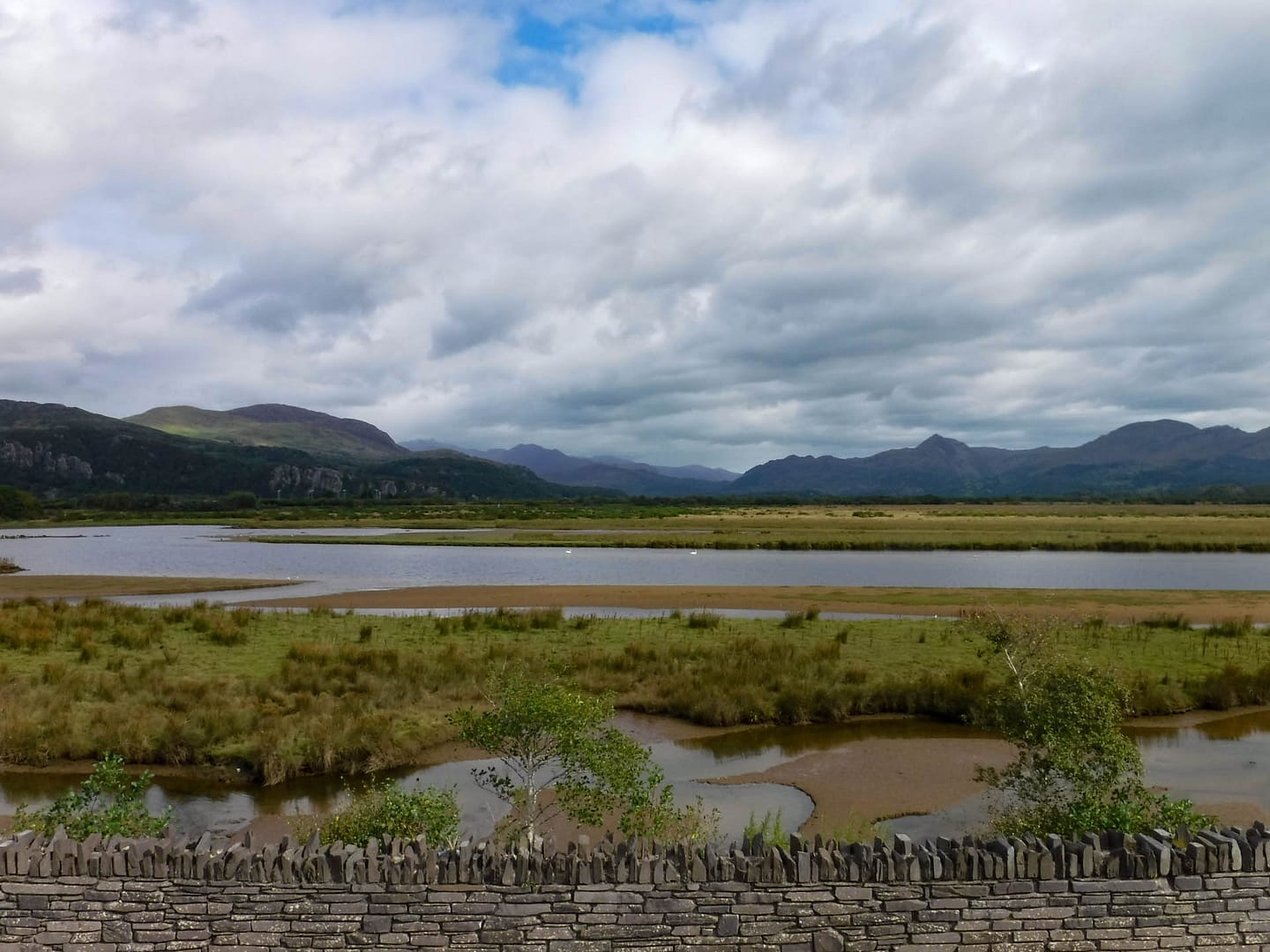 Porthmadog-01 marsh view