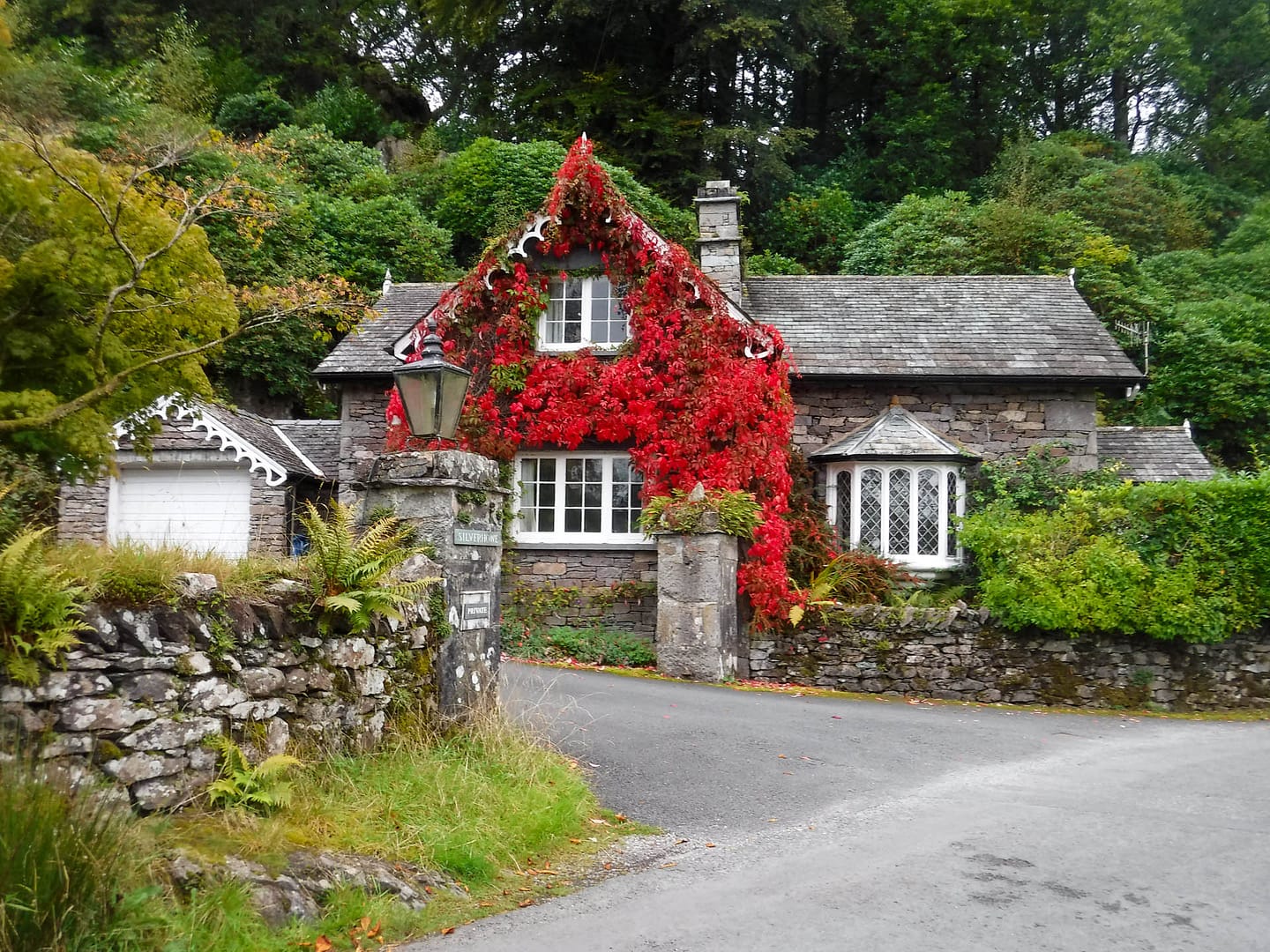 cottage with red vines