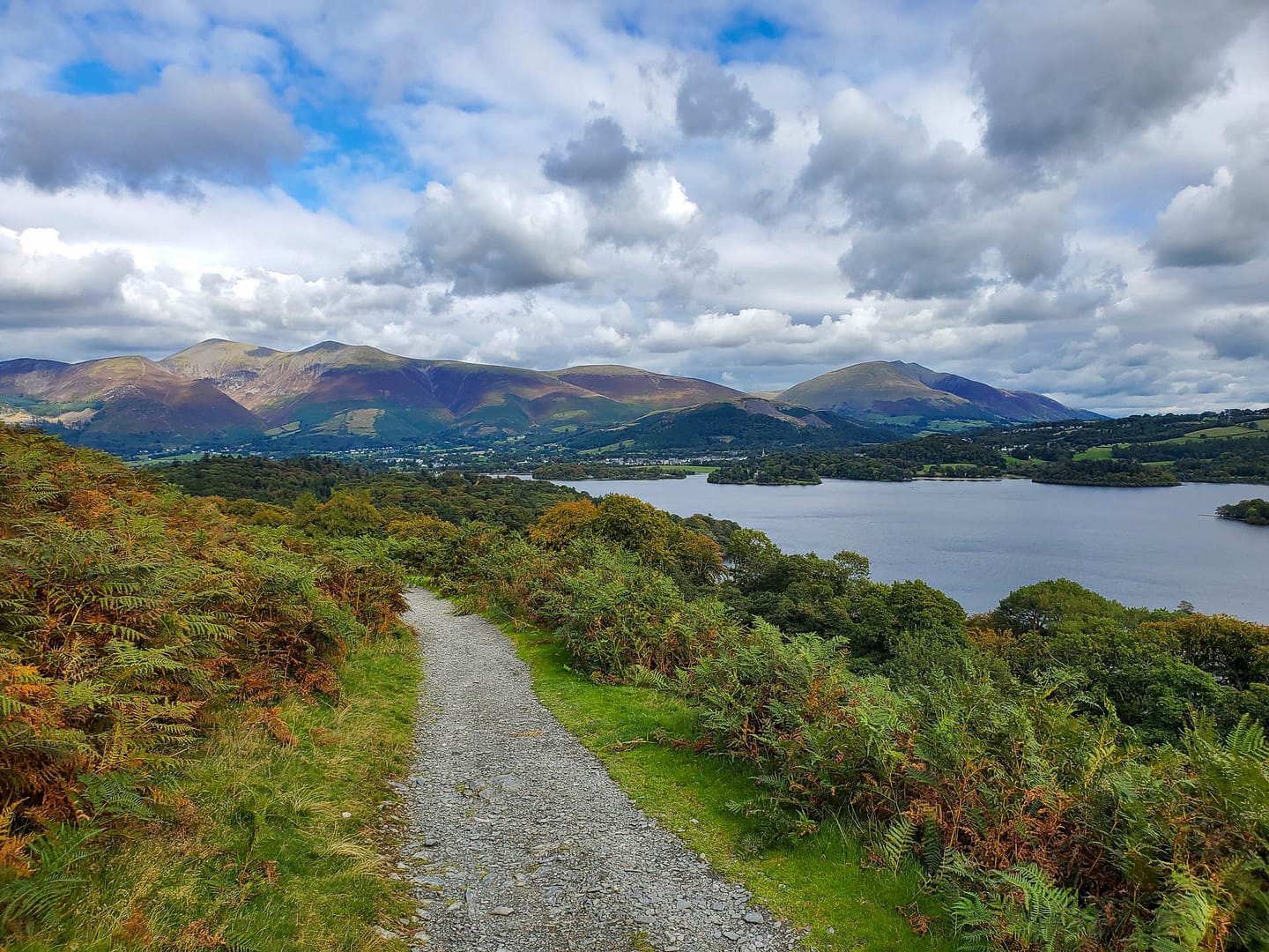 view of trail