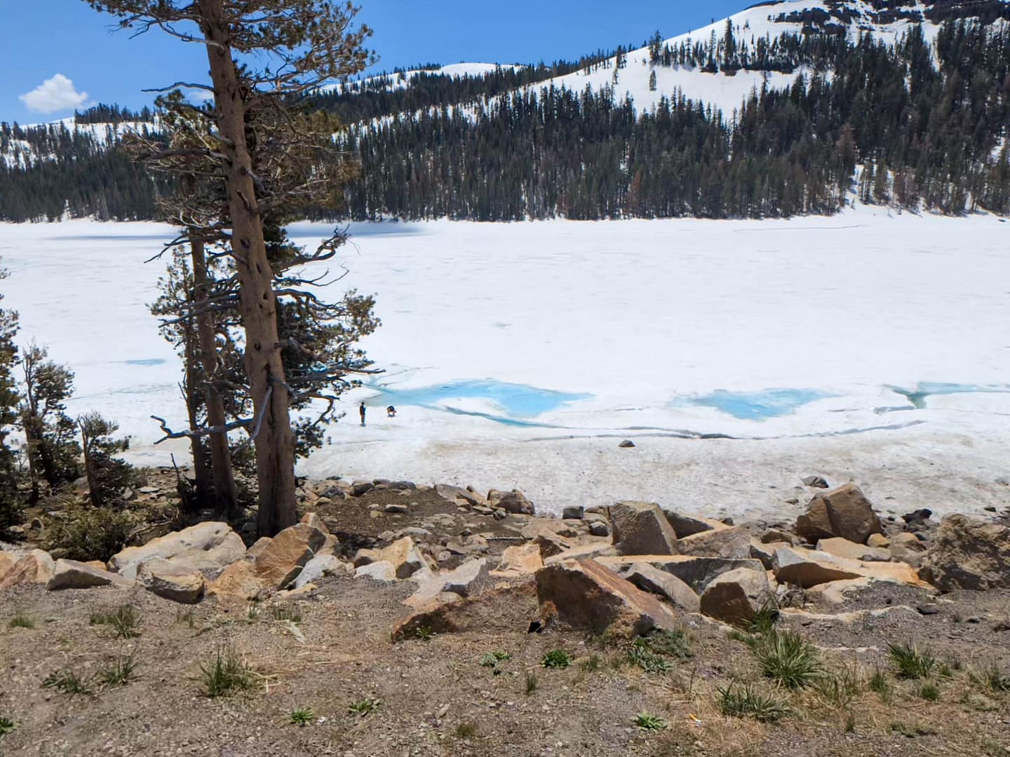 frozen lake