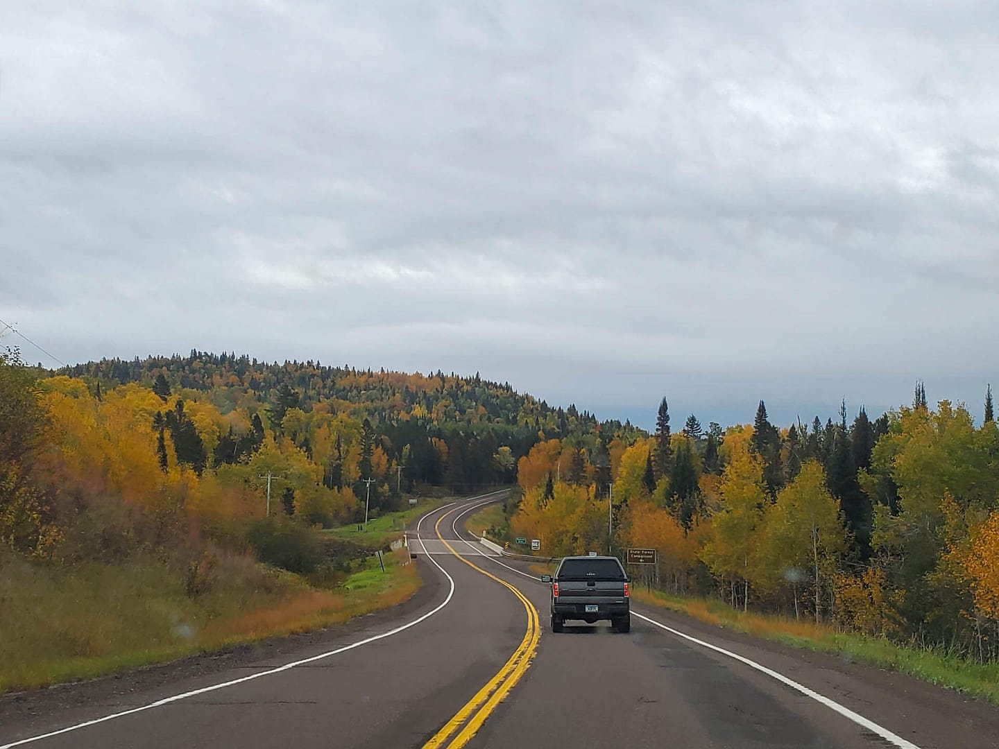 road through fall trees